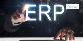 Transform Business Operations with ERP Software Development Services USA