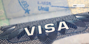 Guiding Your Journey from Investment to U.S. Citizenship