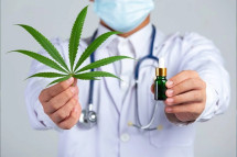 Maine Medical Marijuanas Card