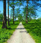 Complete Itinerary for a Dooars Tour Package from Kolkata