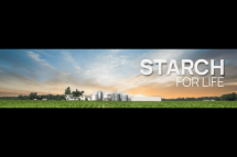 Maize Starch Manufacturers India | Bluecraft Agro