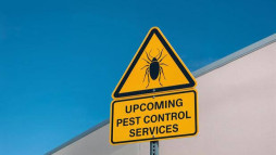 Pests Keep Returning? Pest Control Dubai – +971 56 695 2225