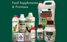 veterinary medicine wholesaler