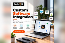Custom Software Integration Services for Businesses