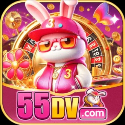 55dv Org