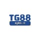 Tg88i Nl