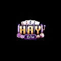HAYWIN