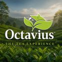 Octavius Tea Resorts