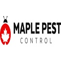 Maplepest