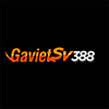 Gavietsv388pro