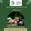 Global-ayurvedic-center