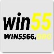 WIN55