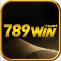 789win Sink