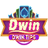 Dwin