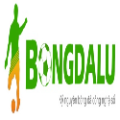 Bongdaluvip Net