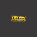 789win09 Design