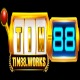 TIN88