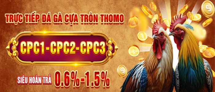 Đá Gà Trực Tiếp