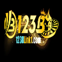 123blink1