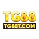 Tg88tcom
