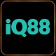 Iq88 Me