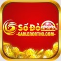 Sodo Casino