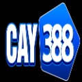 Cay388 Cam