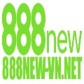 888new Vn Net