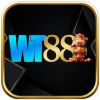 Wt88info