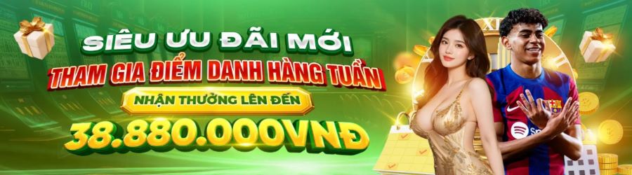 Ev88info