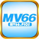 MV66