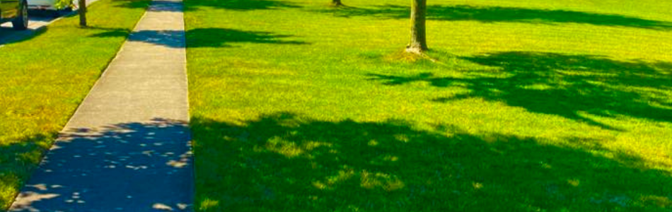 Spring Views Lawn Care