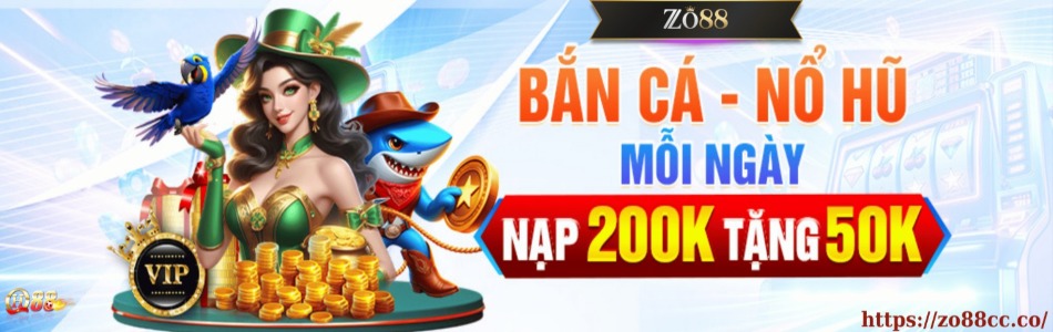 Zo88cc co