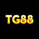 Tg88 Bet