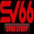 Sv66 Study