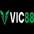 Vic88 Top