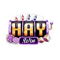 Haywin1info