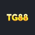 Tg88 Net Im