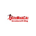Keonhacai5 Blog
