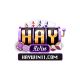 Haywin11com