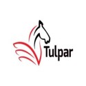 Tulpar Taxation