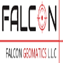 Falcongeo1