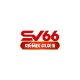 SV66KYC CN COM
