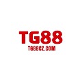 Tg88cz Com