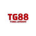 Tg88 London