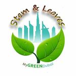 Stem And Leaves - Fairy Gardens Ideas - Air Plants Terrarium