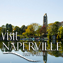 Naperville Realtor And Licensed Naperville Real Estate Agent
