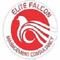 Elite Falcon Visa Consultant