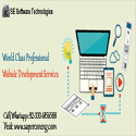 World Class Professional Web Development Services