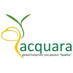 Acquara Management Consultant